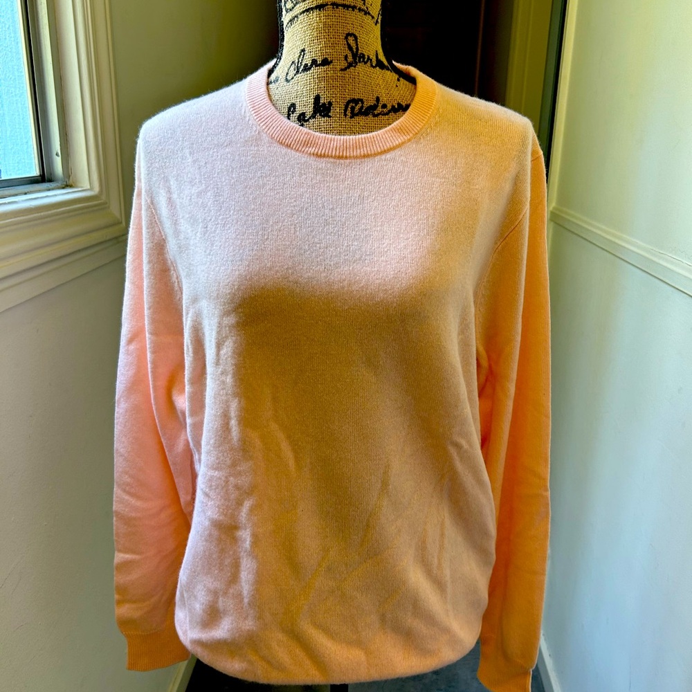 J. Crew Cashmere Pink Crew Neck Sweater NWT - M